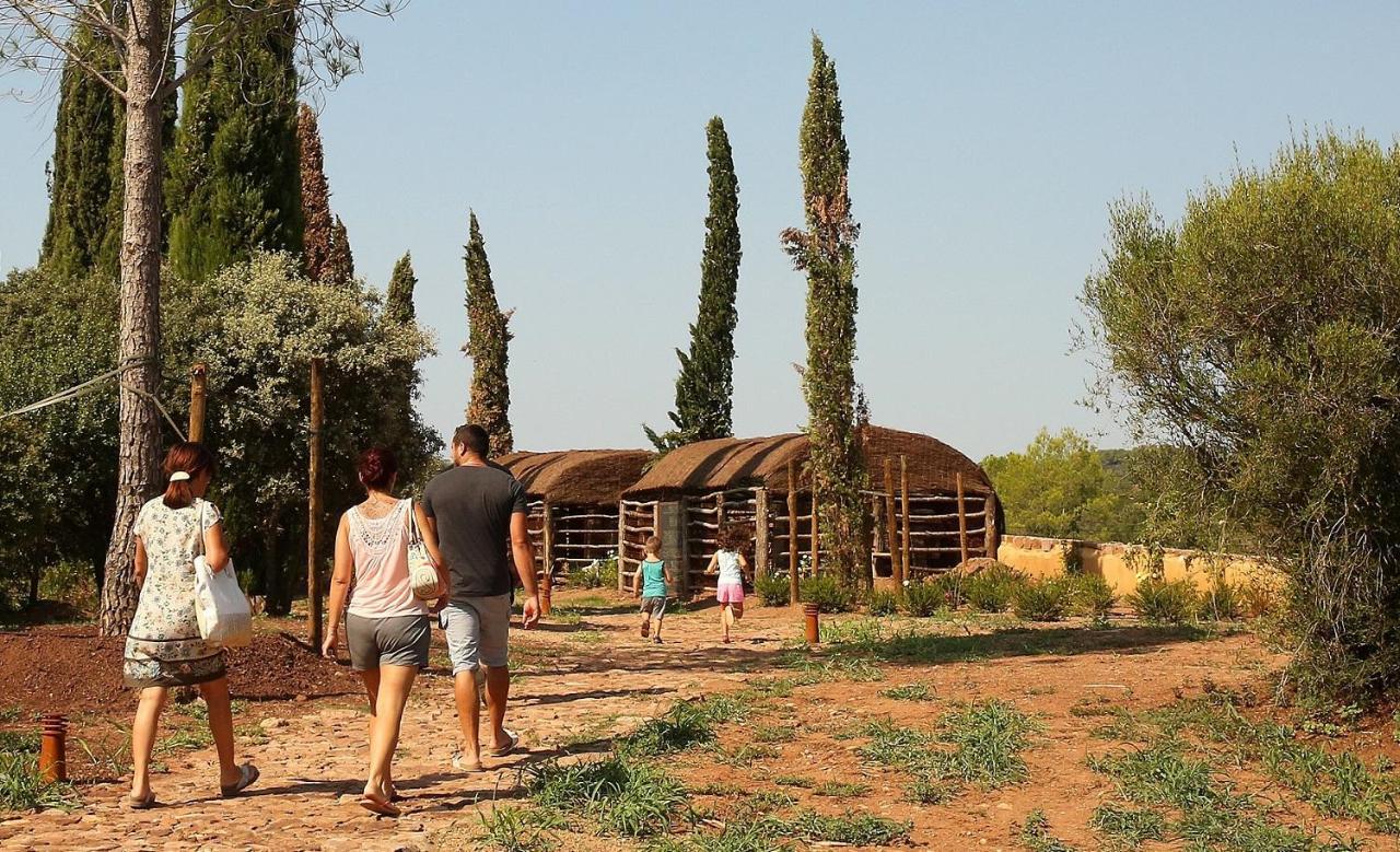 Chateau Saint Roux Le Luc-Le Cannet Des Maures Екстериор снимка
